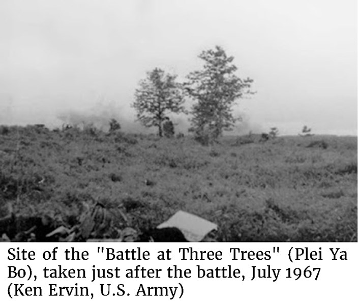 Photo of the site of the "Battle at Three Trees" (Plei Ya Bo), taken just after the battle, July 1967  (Ken Ervin, U.S. Army)